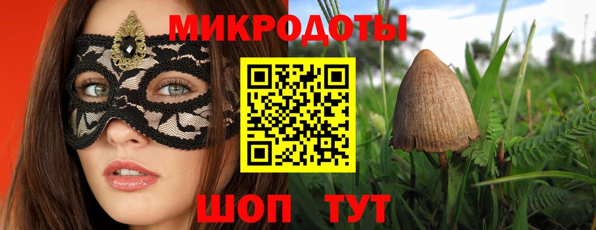 Галлюциногенные грибы Psilocybine cubensis  Вход с VPN  Псилоцибиновые грибы мухоморы  Арзамас 