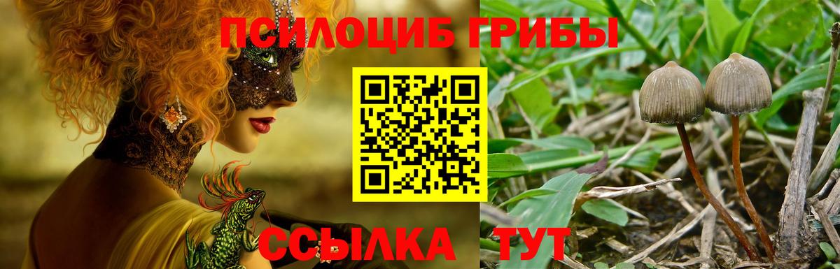 Псилоцибиновые грибы ЛСД Арзамас